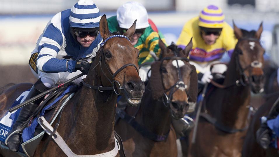 Stopwatch Racing likes the look of Whisper for the King George at Kempton